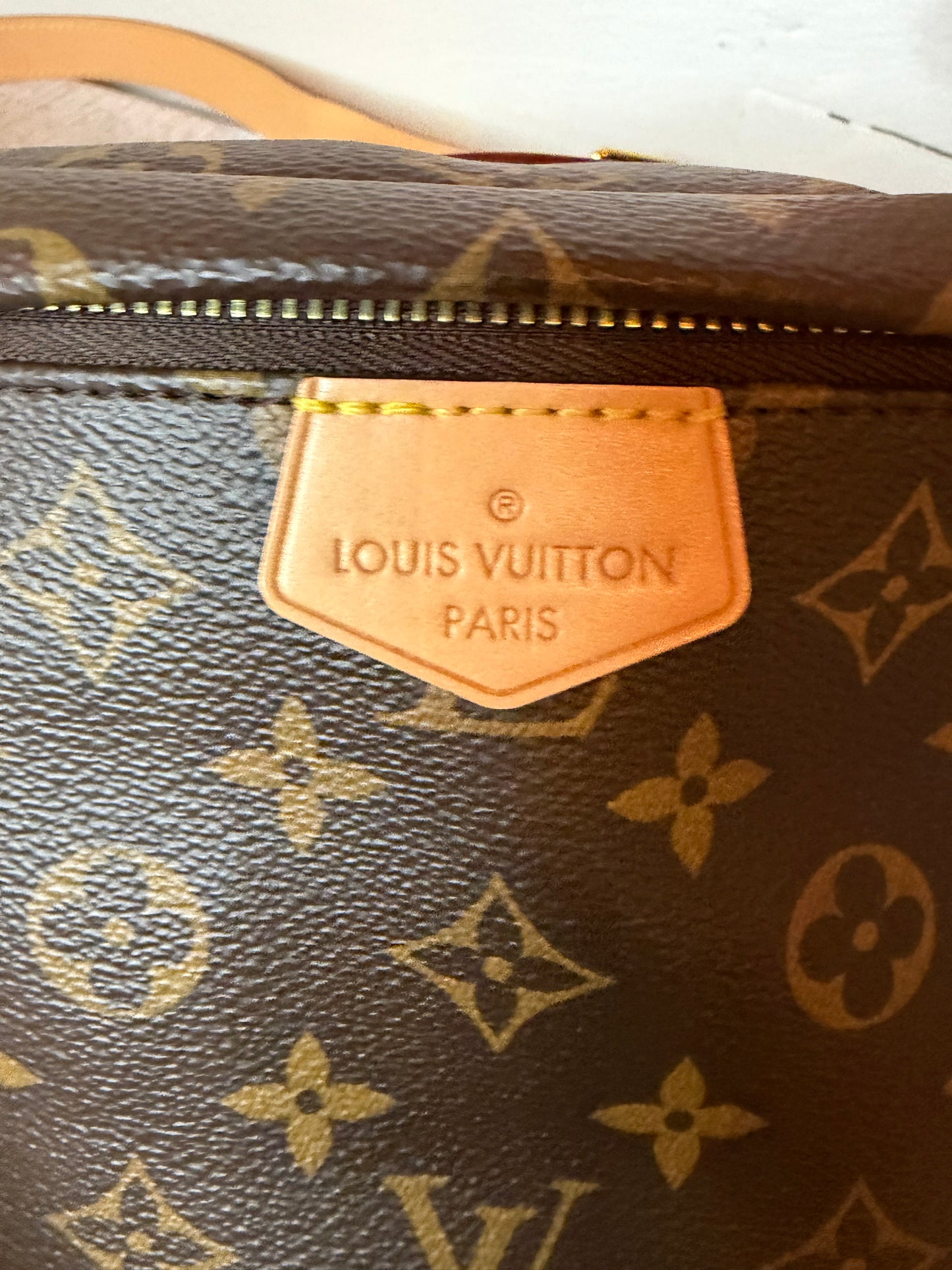 Louis Vuitton Classic Monogram Bumbag