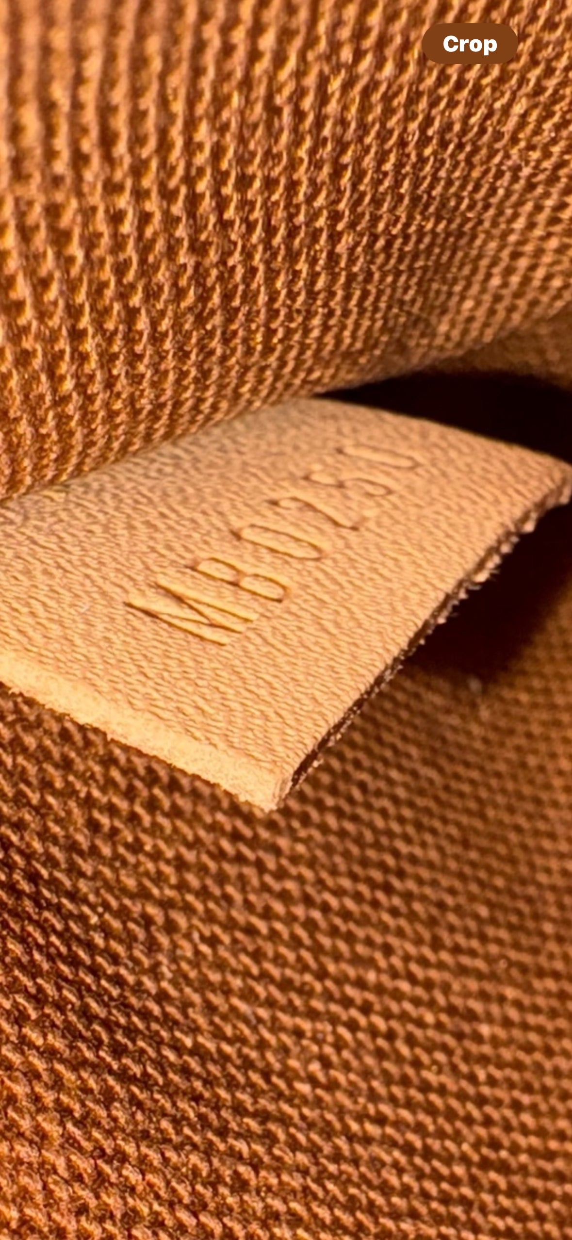 Louis Vuitton Pochette Accessories Monogram Shoulder Bag