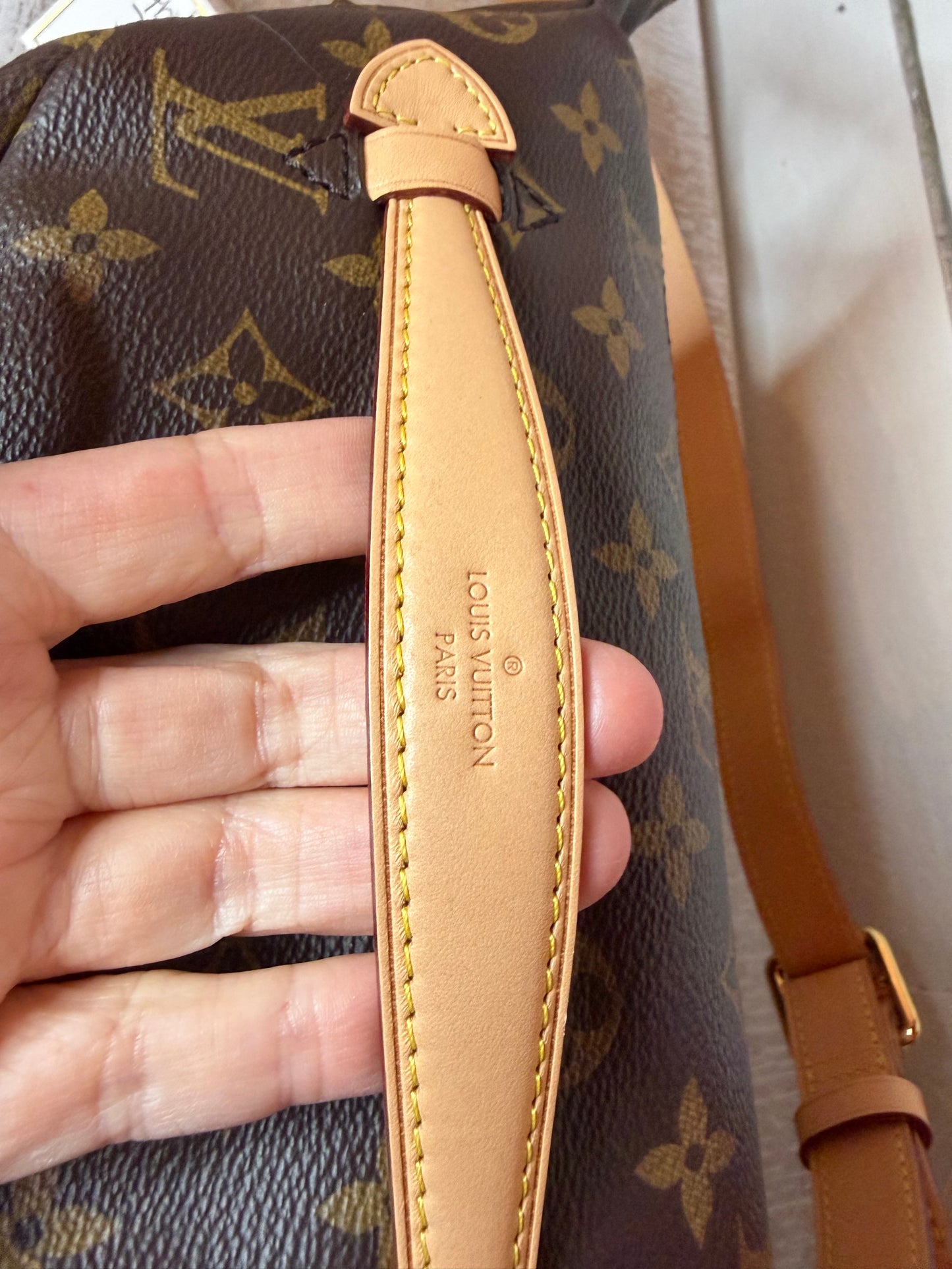Louis Vuitton Classic Monogram Bumbag
