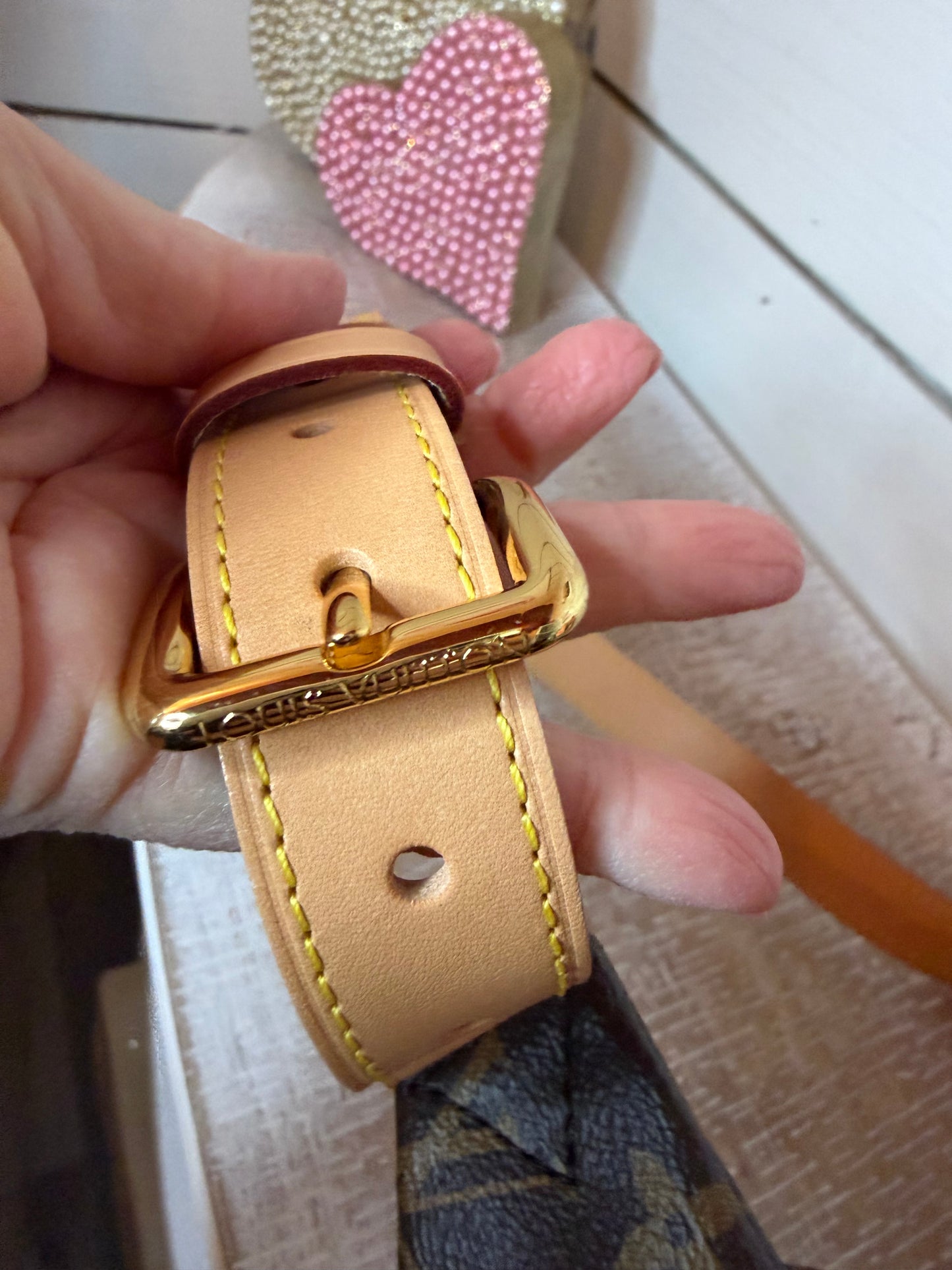 Louis Vuitton Classic Monogram Bumbag