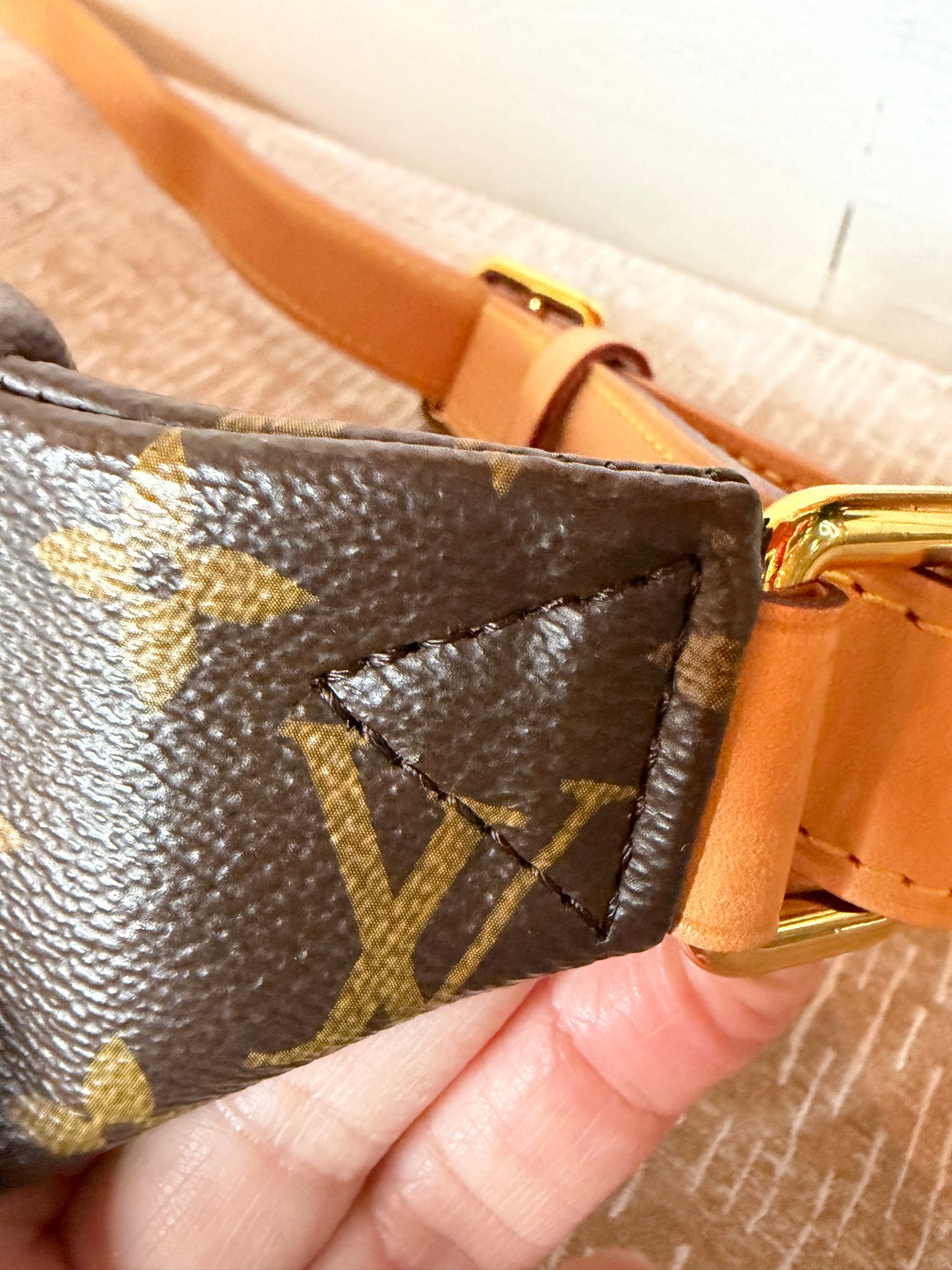 Louis Vuitton Classic Monogram Bumbag