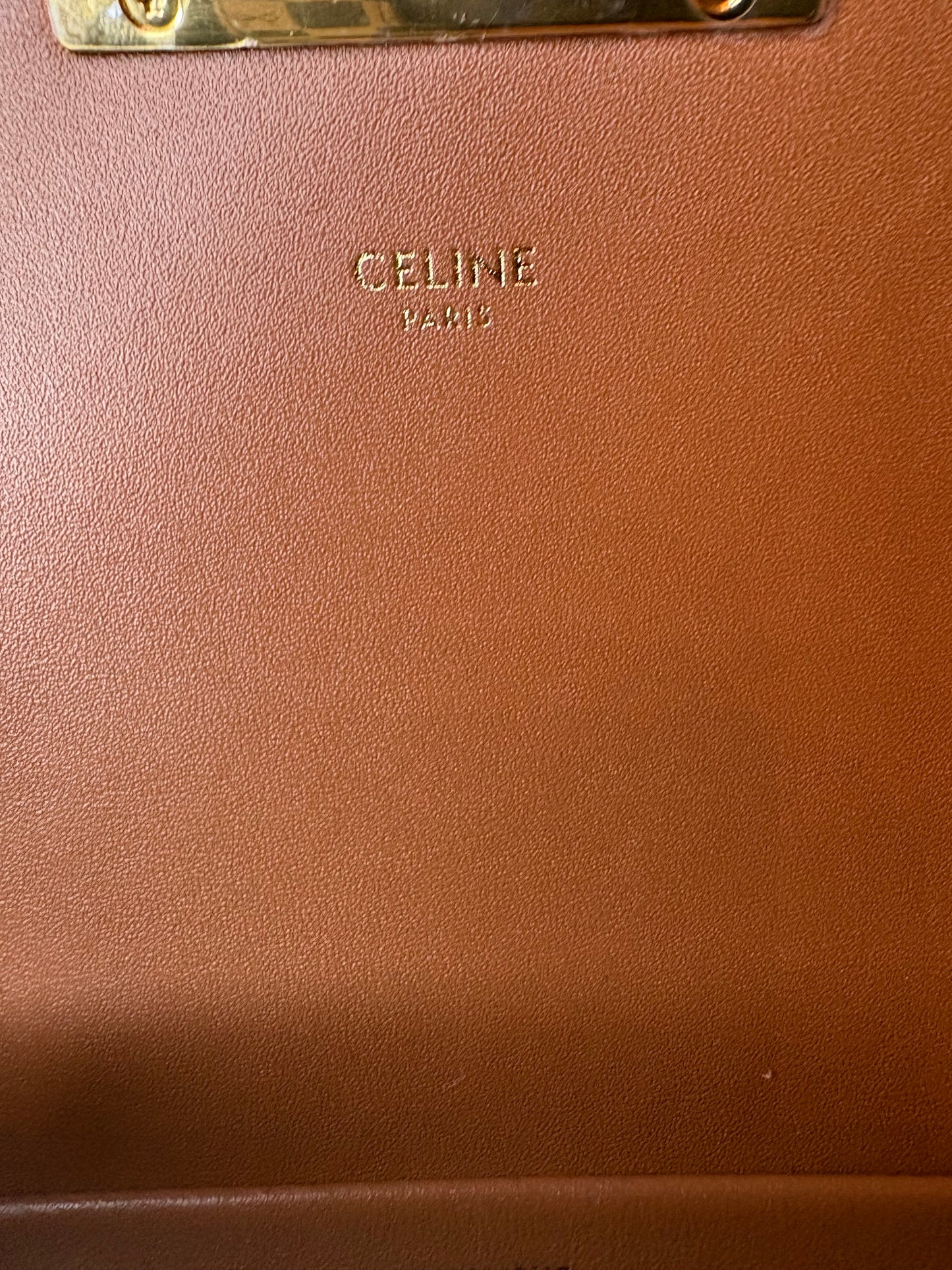 Canvas Calfskin Triomphe Shoulder Bag White