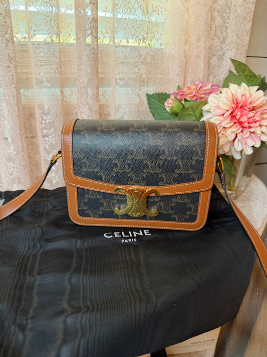 Celine Triomphe Bag in Triomphe Canvas & Calfskin