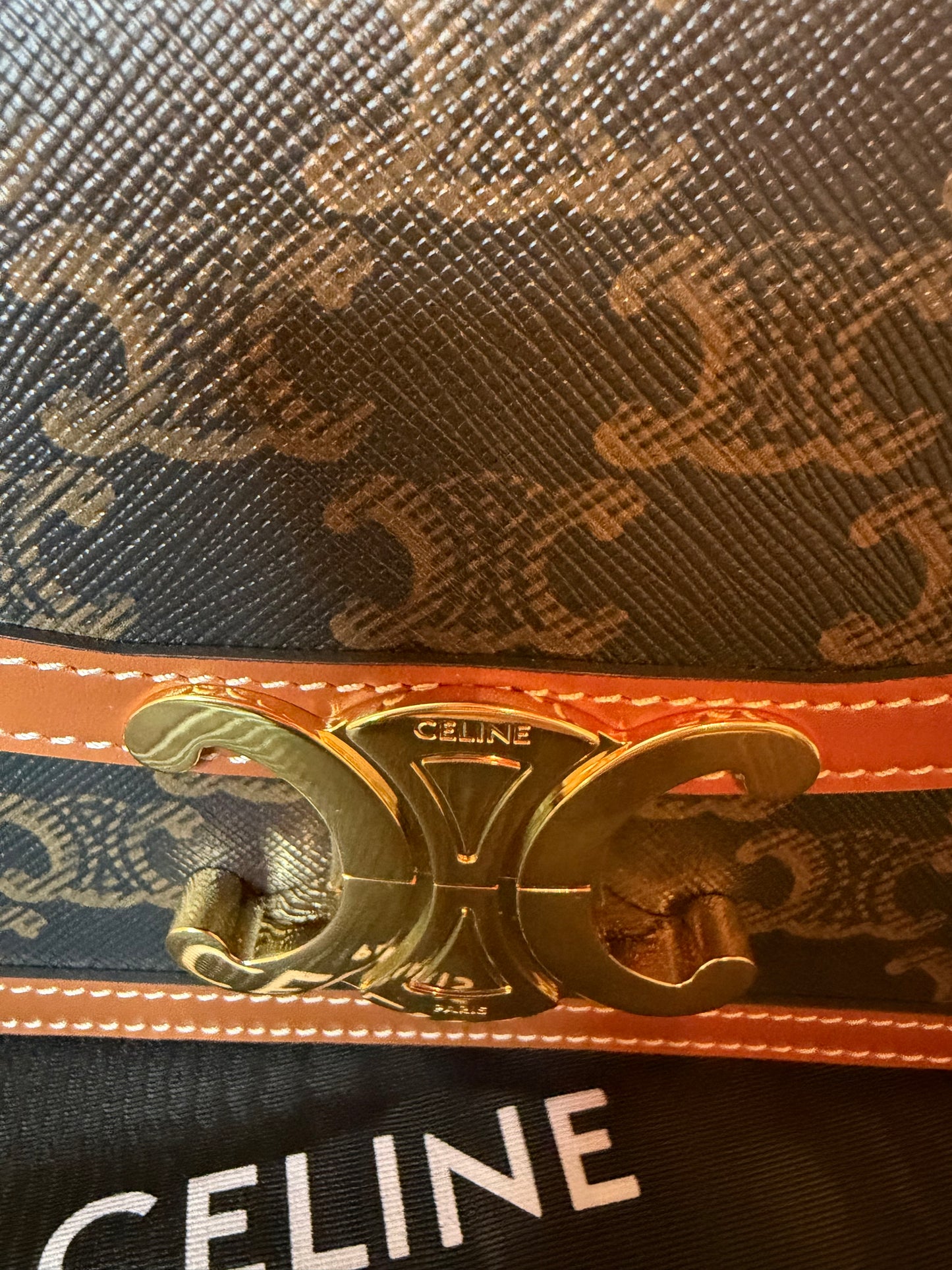 Celine Triomphe Bag in Triomphe Canvas & Calfskin