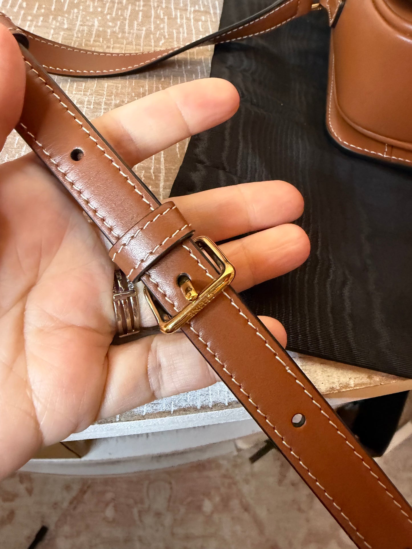 Celine Triomphe Bag in Triomphe Canvas & Calfskin