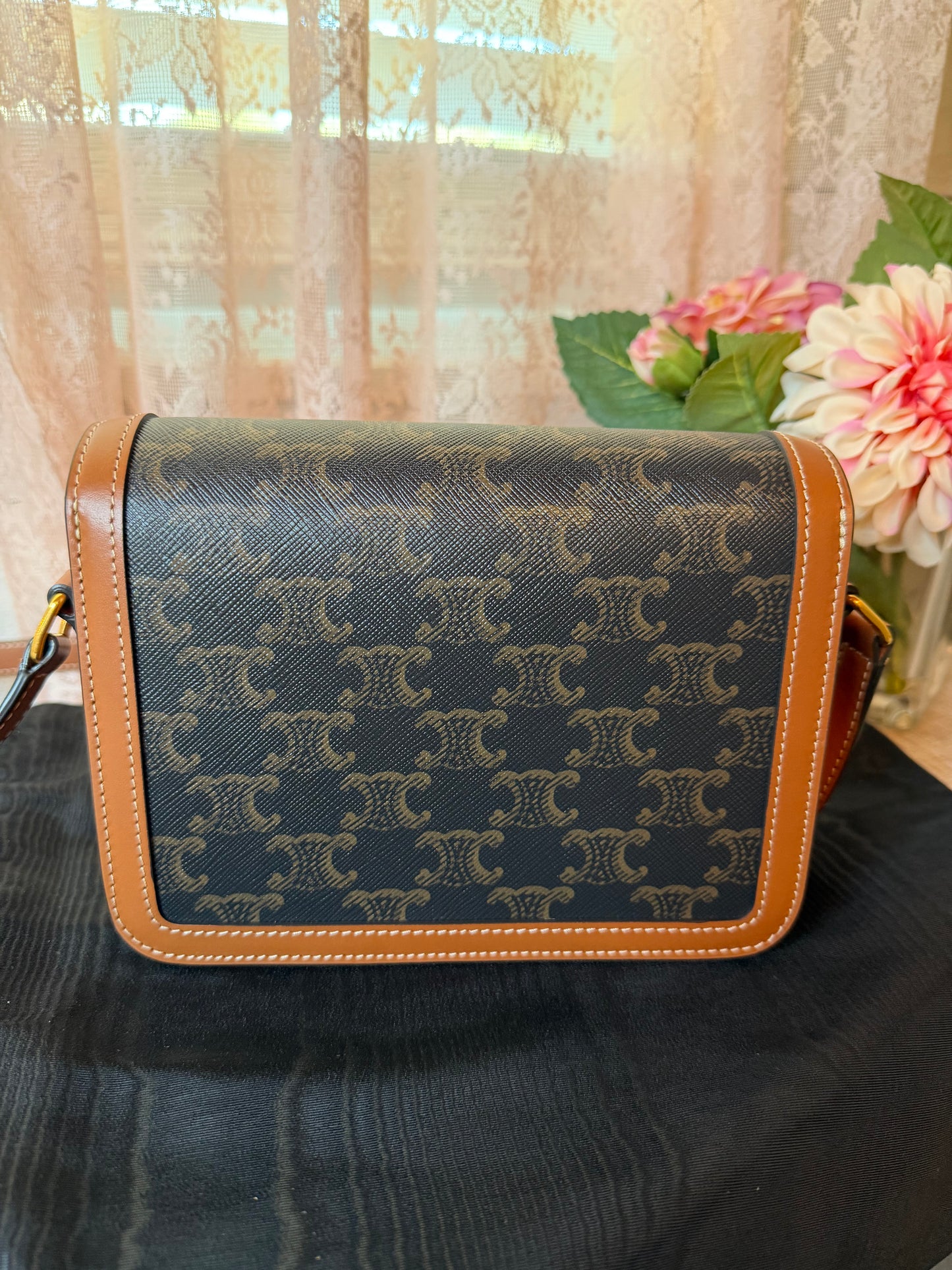 Celine Triomphe Bag in Triomphe Canvas & Calfskin