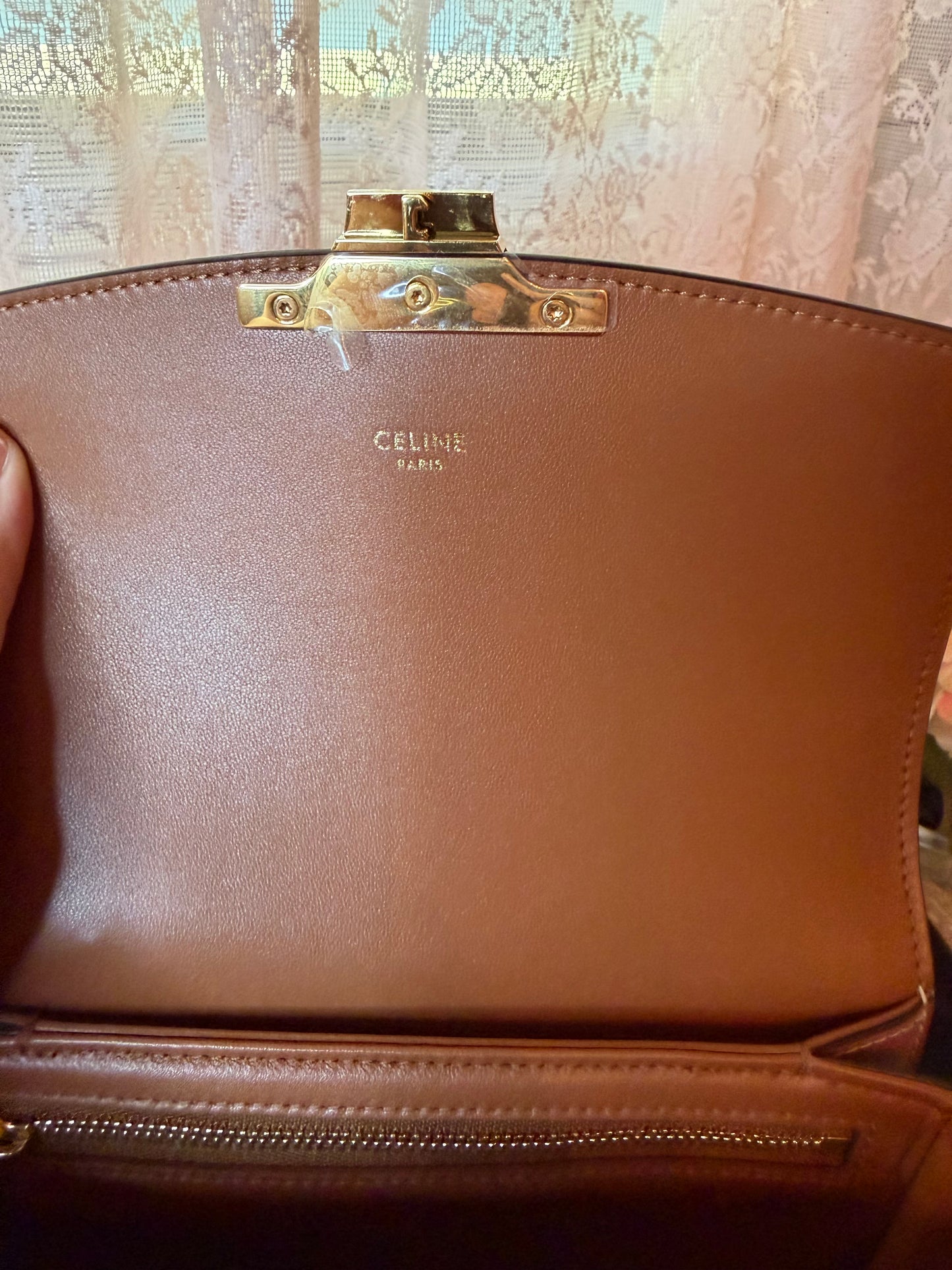 Celine Triomphe Bag in Triomphe Canvas & Calfskin