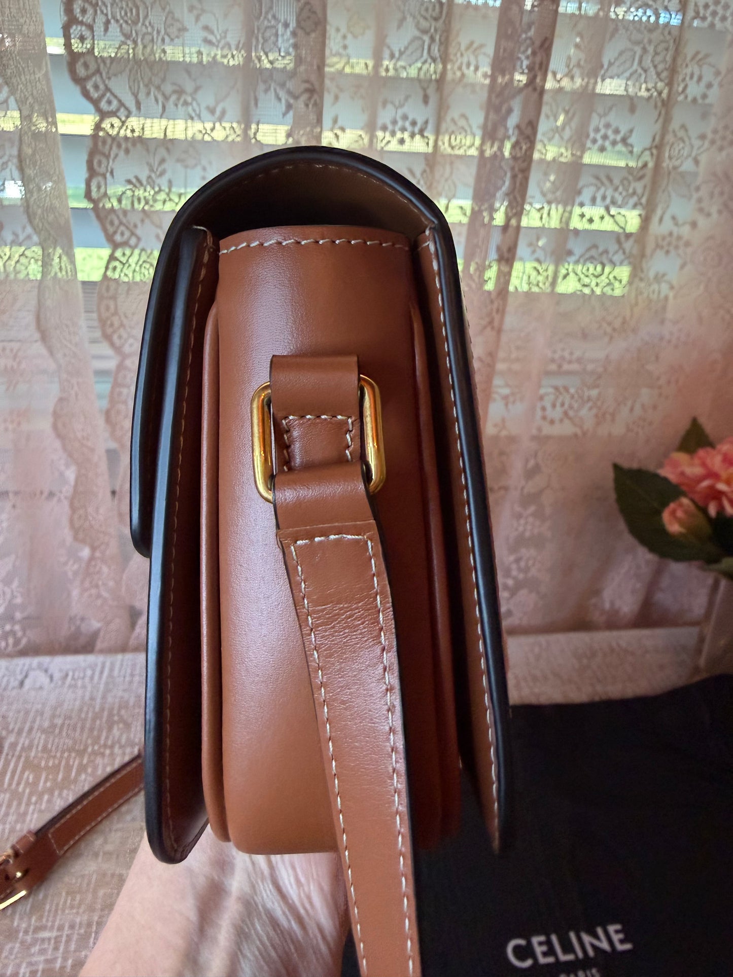 Celine Triomphe Bag in Triomphe Canvas & Calfskin