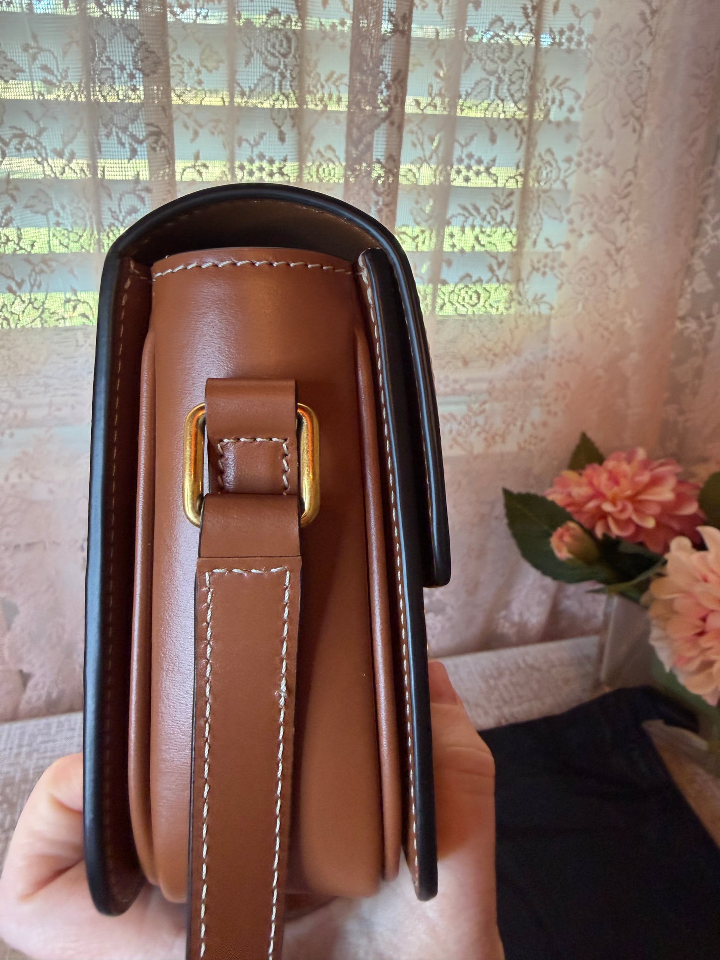 Celine Triomphe Bag in Triomphe Canvas & Calfskin