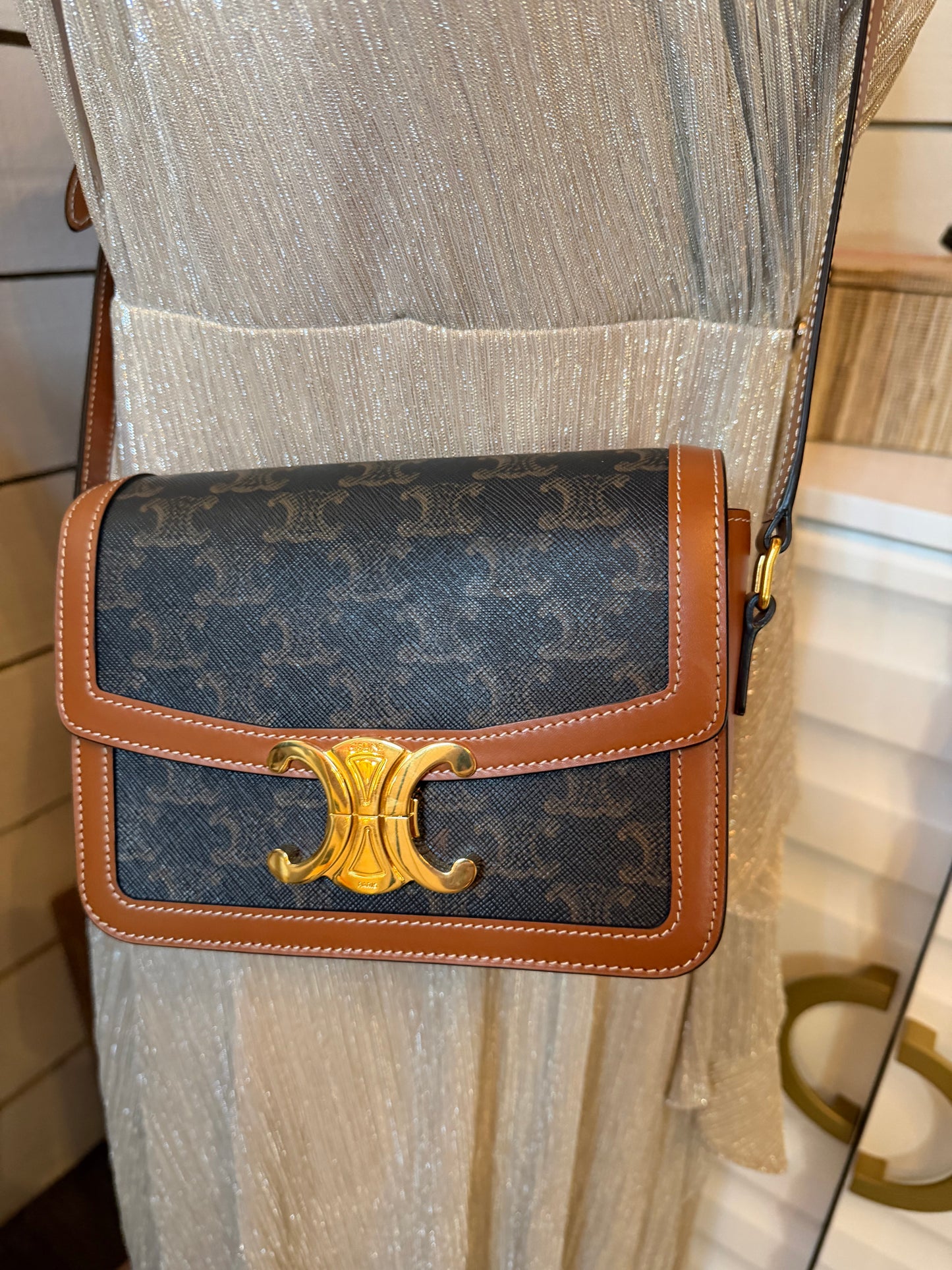 Celine Triomphe Bag in Triomphe Canvas & Calfskin