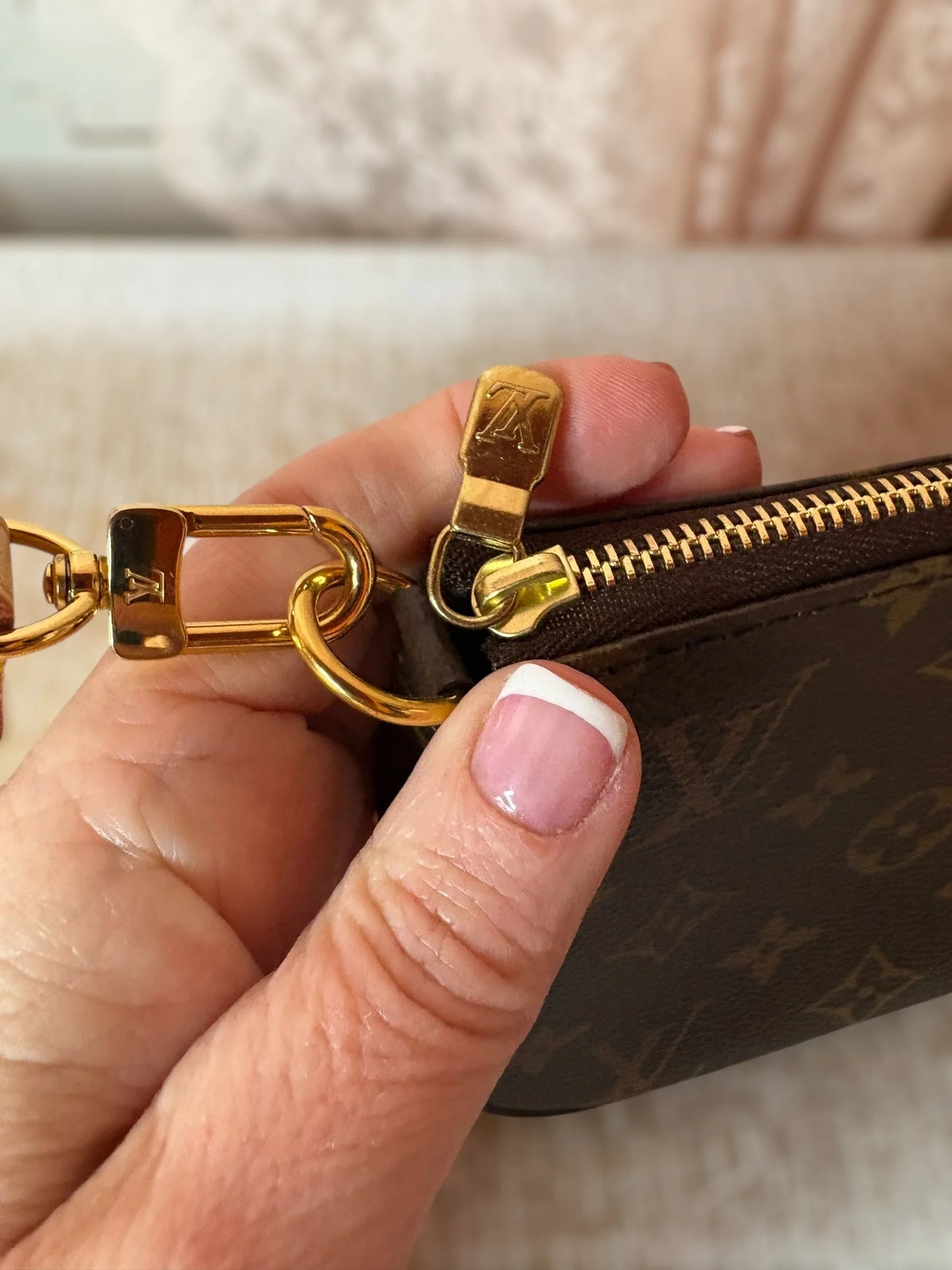 Louis Vuitton Pochette Accessories Monogram Shoulder Bag