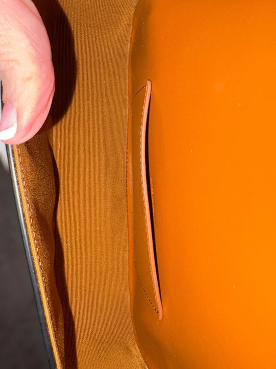 Celine Triomphe Canvas & Leather Clutch on Strap