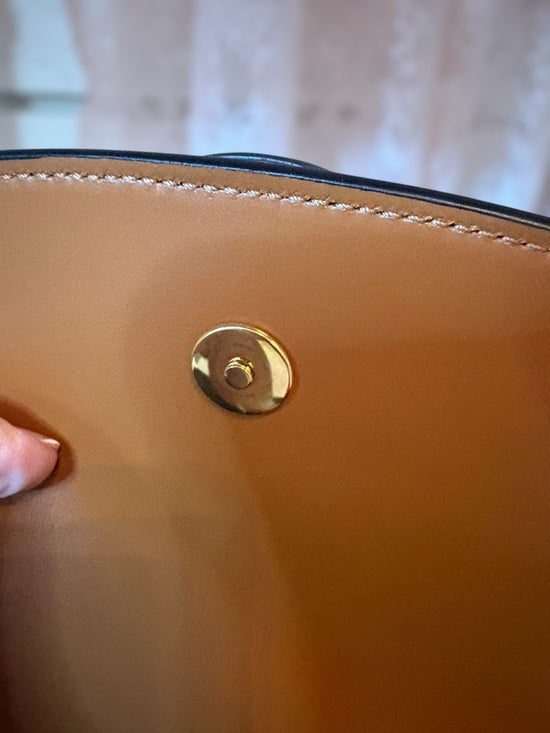 Celine Triomphe Canvas & Leather Clutch on Strap