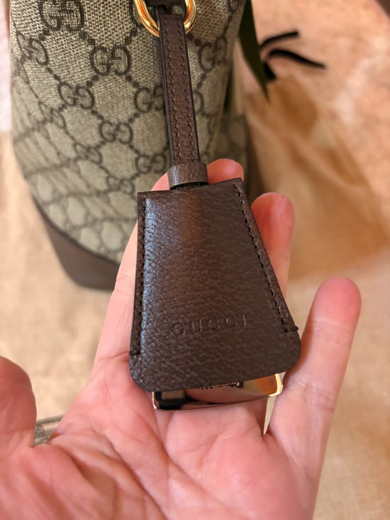 Gucci Ophidia Medium Shoulder Bag- Hobo Style